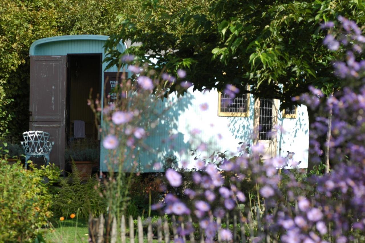 Pipowagen Overnachting Het Houten Huis Zaltbommel Exterior foto